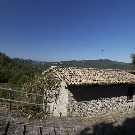 Campo Della Fiora *