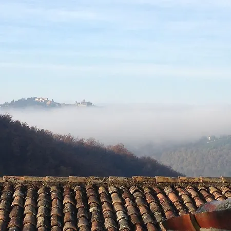 Campo Della Fiora * 蒙托内