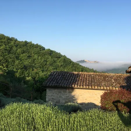 Campo Della Fiora * مونتوني